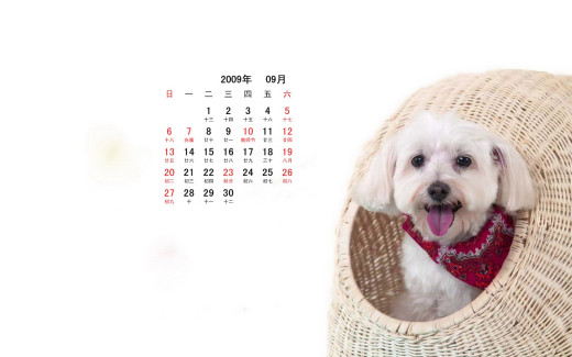 476024 (a): :1280x800